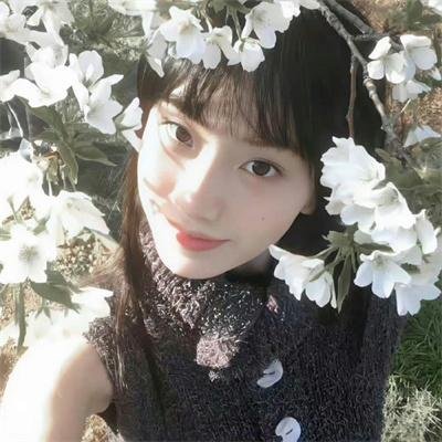 动画冒险